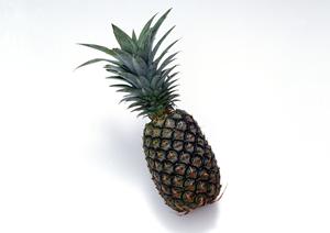 新宿にあるおすすめのホストクラブ