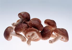 ミナミで一流のホストを目指そう